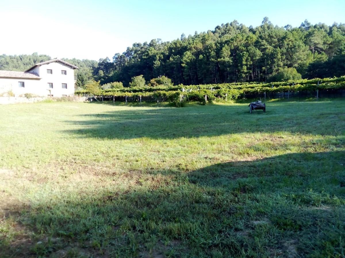 Bodega Villa Villanueva De Arosa Bagian luar foto